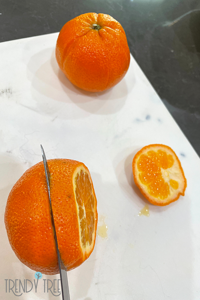 how to dehydrate orange slices for decoration