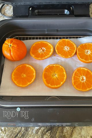 how to dry oranges for decoration