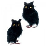 raz black feathered halloween owls