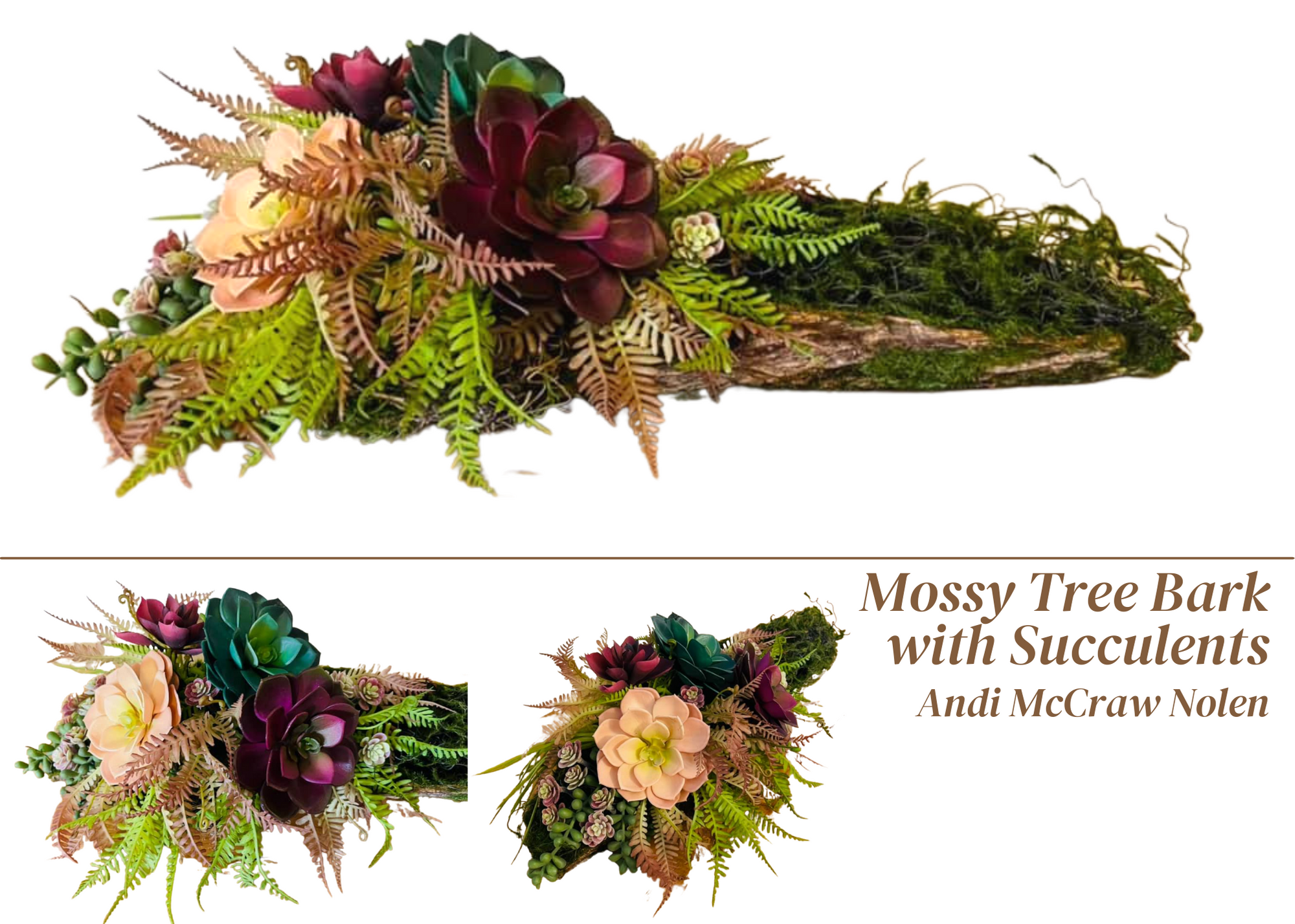 moss covered tree bark with jewel tone succulents