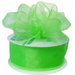 sheer lime green wire edge ribbon