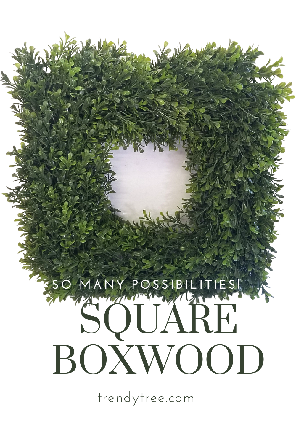 Square Plastic Boxwood Wreath