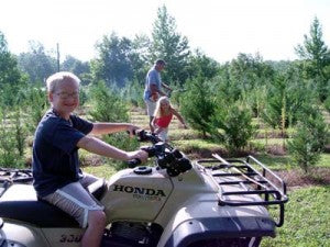 trimming trees