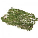 xa2502268-moss-patch