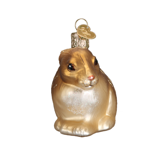 Peter Rabbit Ornament – Old World Christmas