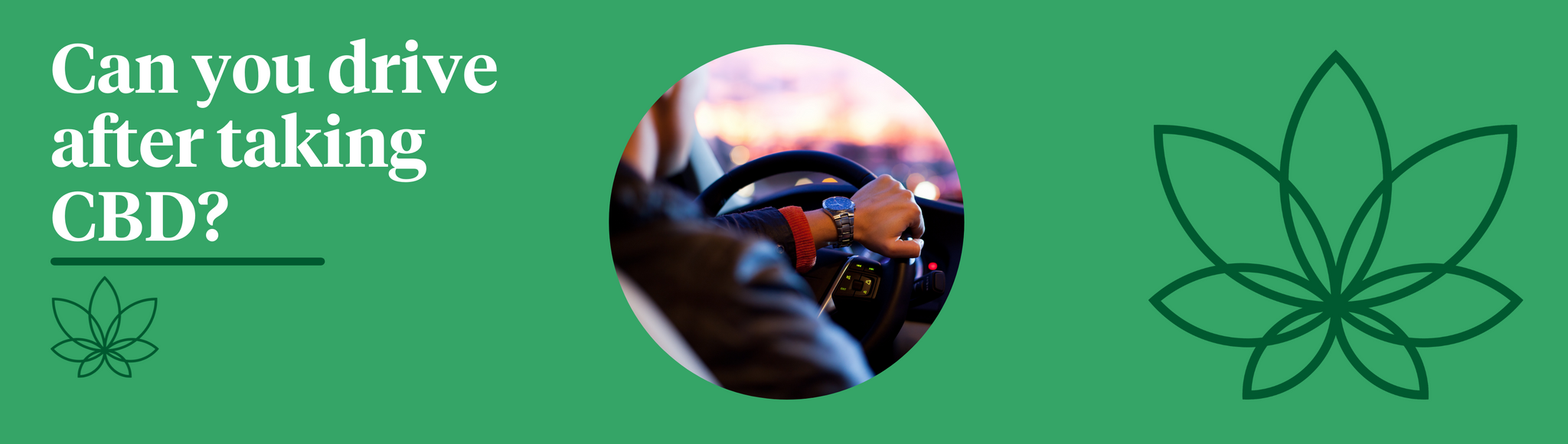 A green background with the Supreme CBD logo to the right of the image with a circular image in the centre with a person driving, holding the steering wheel with one hand.