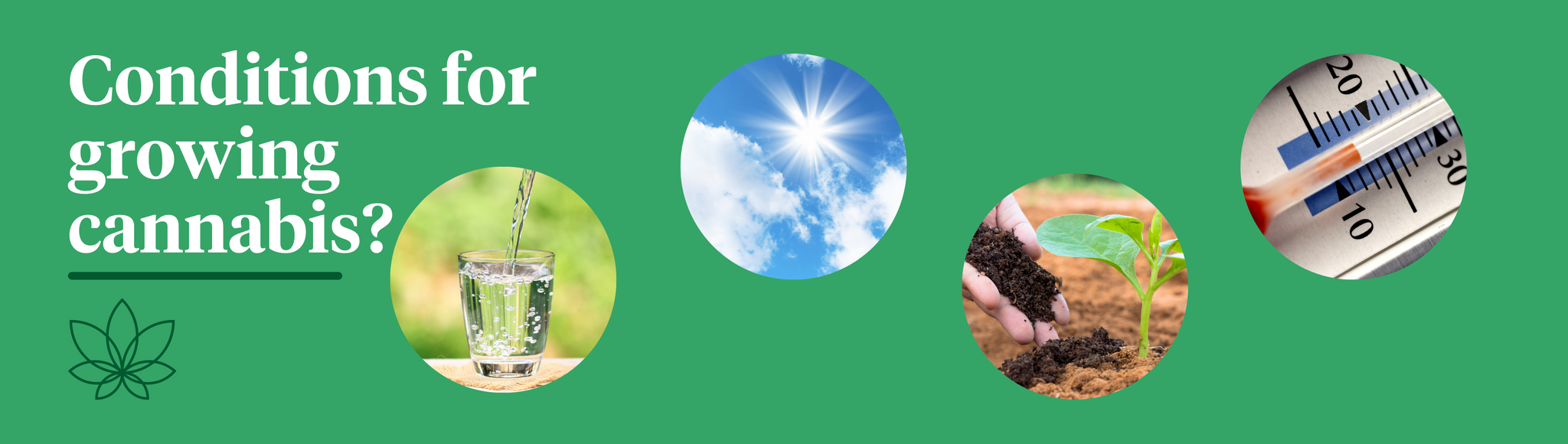 A green background with four images of a glass of water, the sky showing the sun passing over a cloud, a person placing soil and fertiliser underneath a plant and a thermostat. 