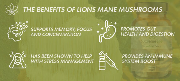 Lions Mane Benefits list