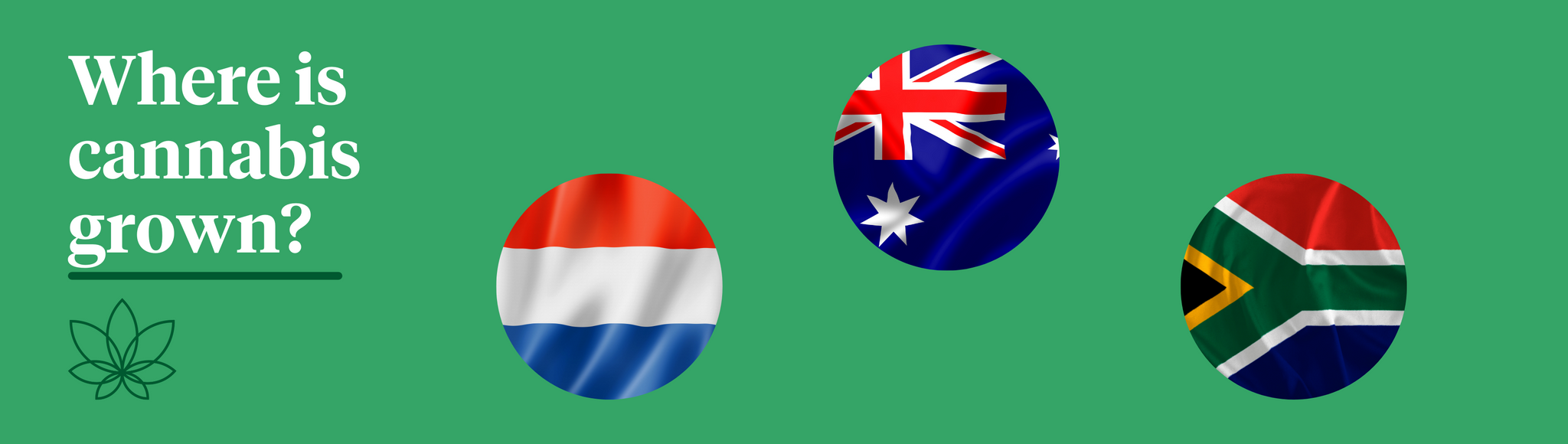 A green background with three flags of the Netherlands, Australia and South Africa with white text saying "Where is cannabis grown?"