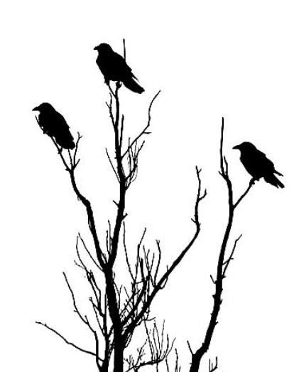 Blog: Crows – Contemporary Artist Christine Alfery's OnLine Gallery