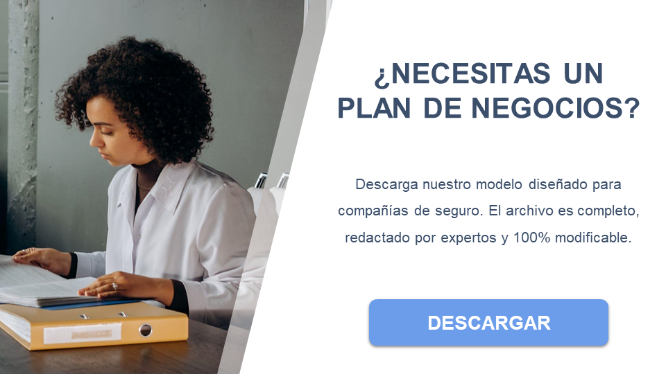 compañía de seguros descargar business plan