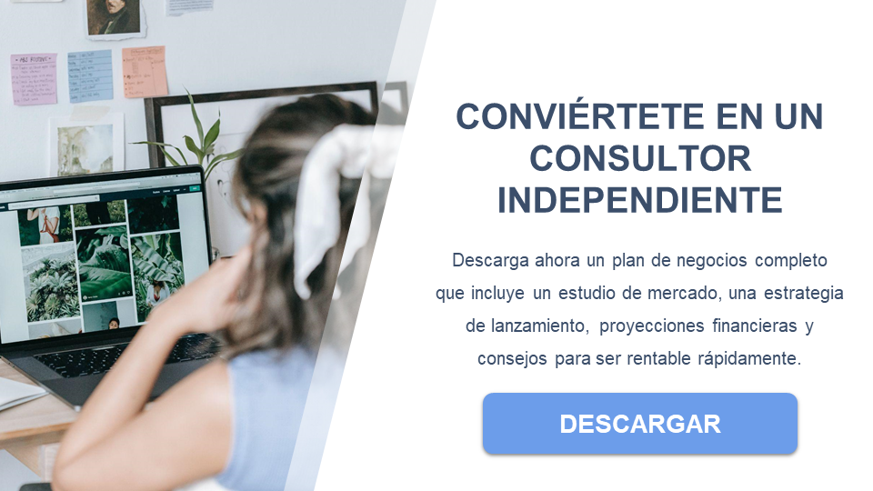 empresa de consultoría descargar business plan