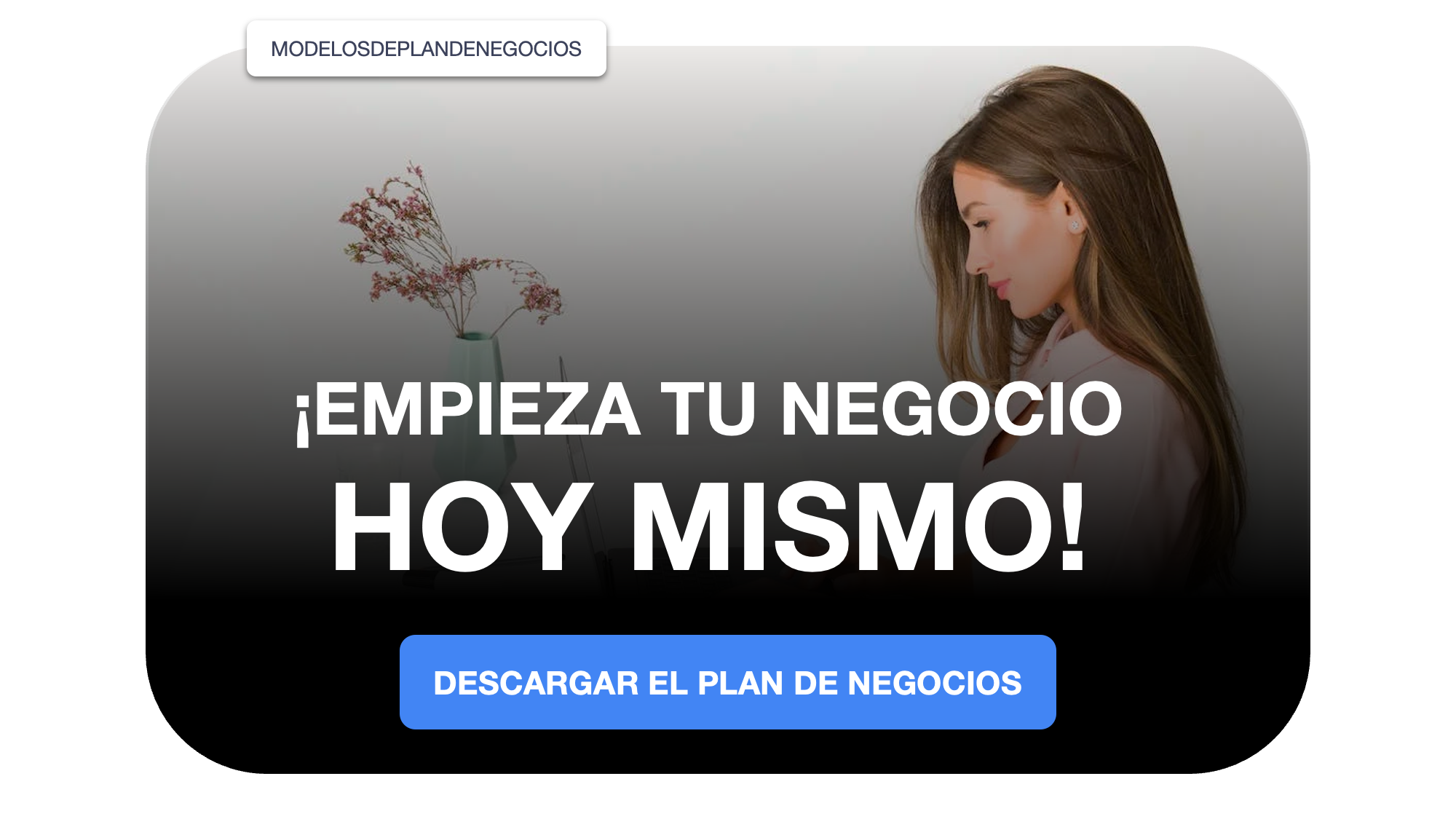 negocio onlineplan de negocios