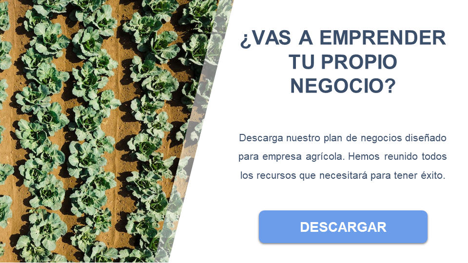 empresa agrícola descargar business plan