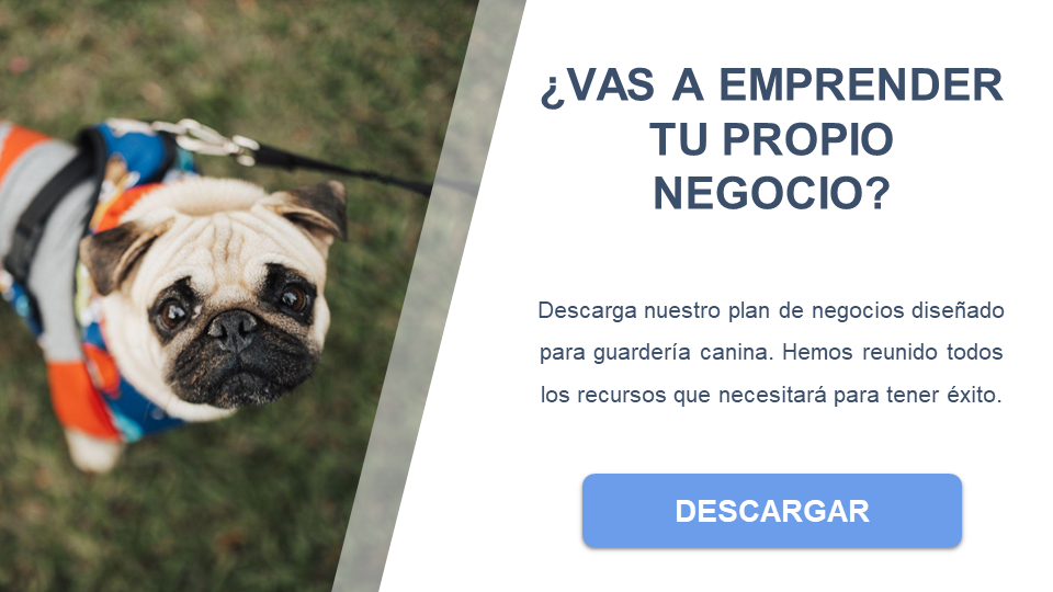 guardería canina descargar business plan