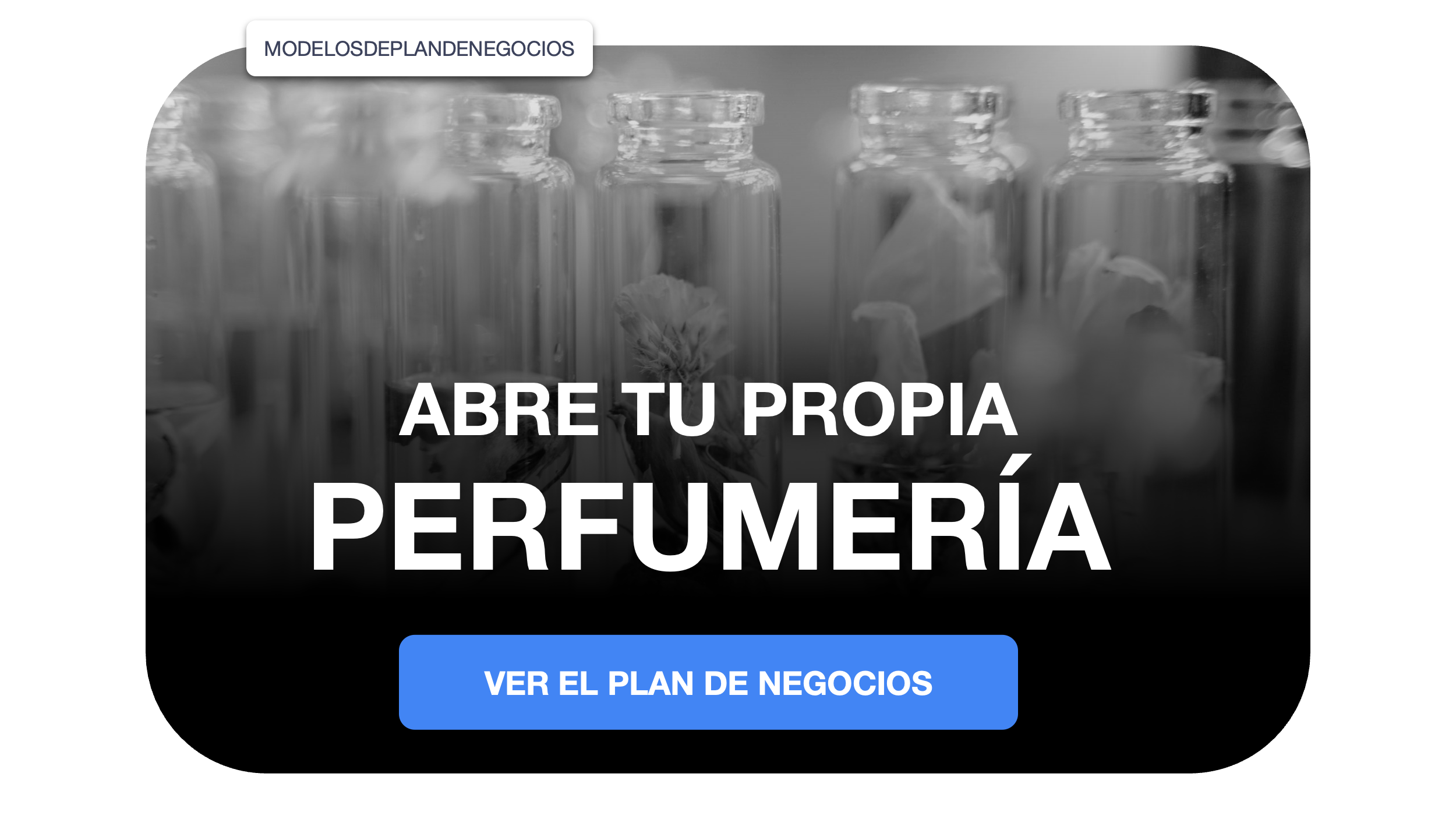 perfumería plan de negocios