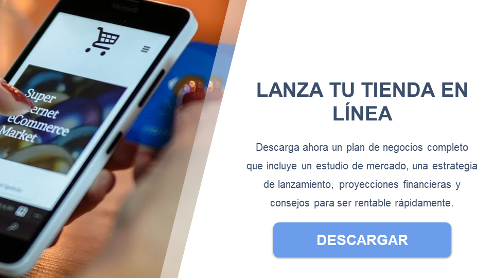 tienda online descargar business plan