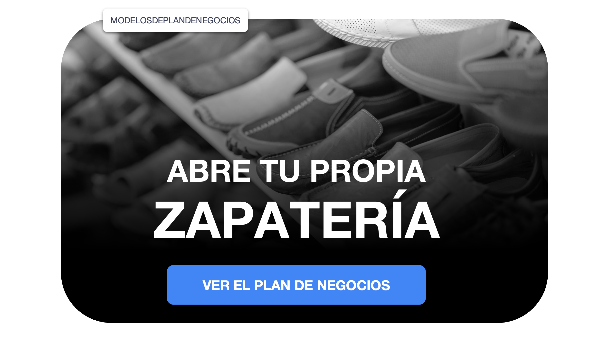 zapatería plan de negocios