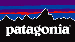 Patagonias grundare skänker bort sitt företag värt 31 miljarder till klimatkampen