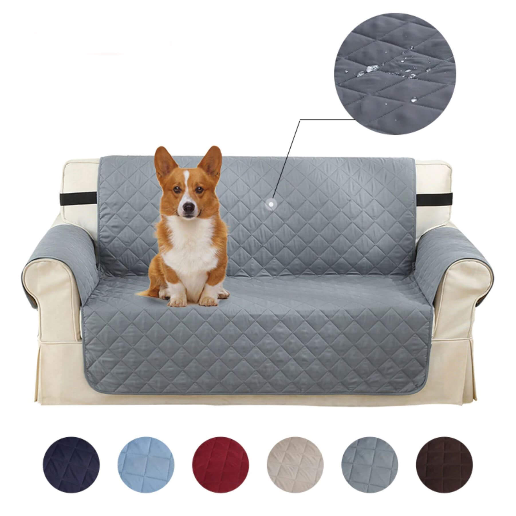 Differentes couleurs de Protege Canape impermeables et chien