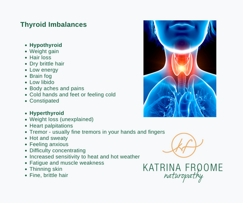 thyroid, hashimotos disease, hashimotos, tired, exhausted, hair loss, anxiety, katrina froome, naturopath brisbane