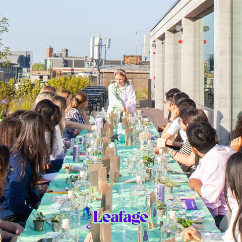 Terrarium Workshop for World Wellbeing Day