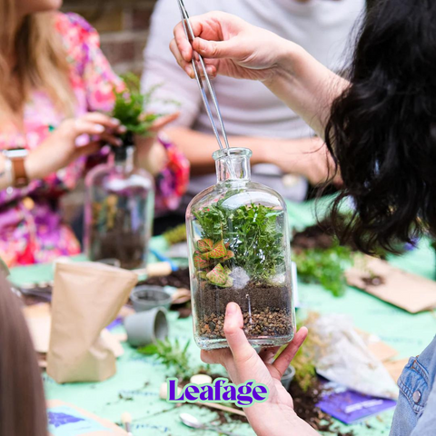 Terrarium Workshop for World Wellbeing Day