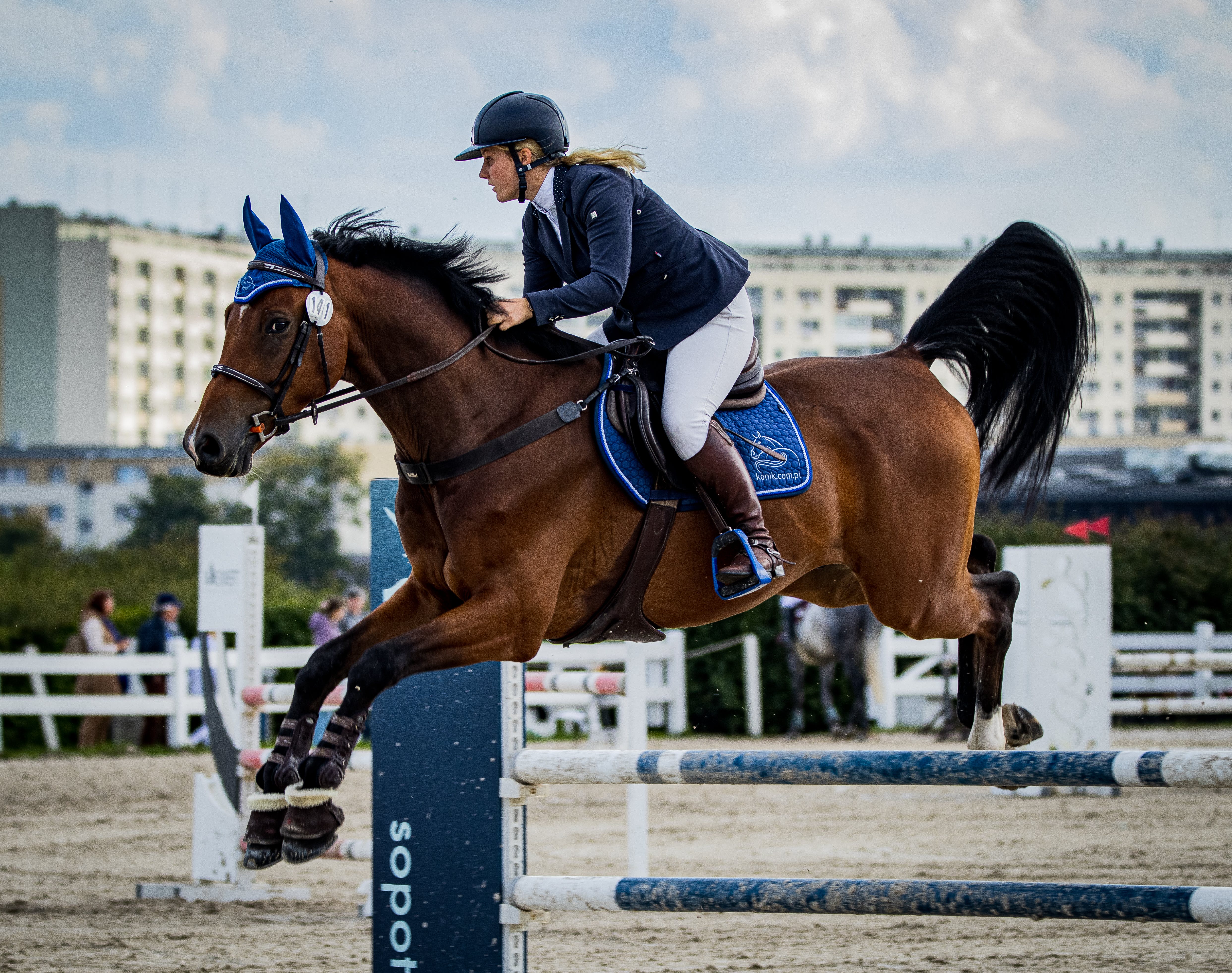 Springreiten Gelenke | HYJOINT® Equi