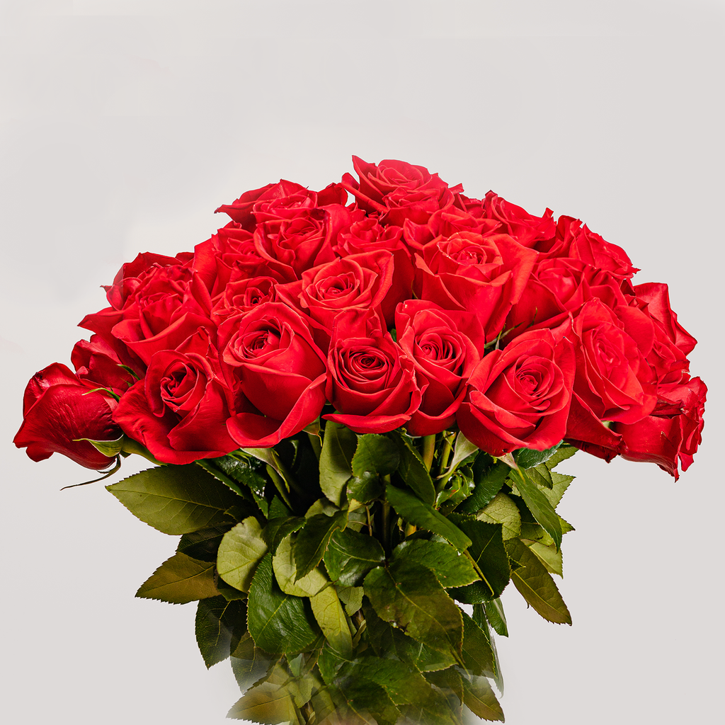 50 Stunning Roses - Red – BOKAY