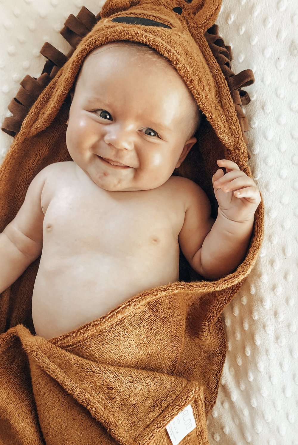 lion hooded baby towel