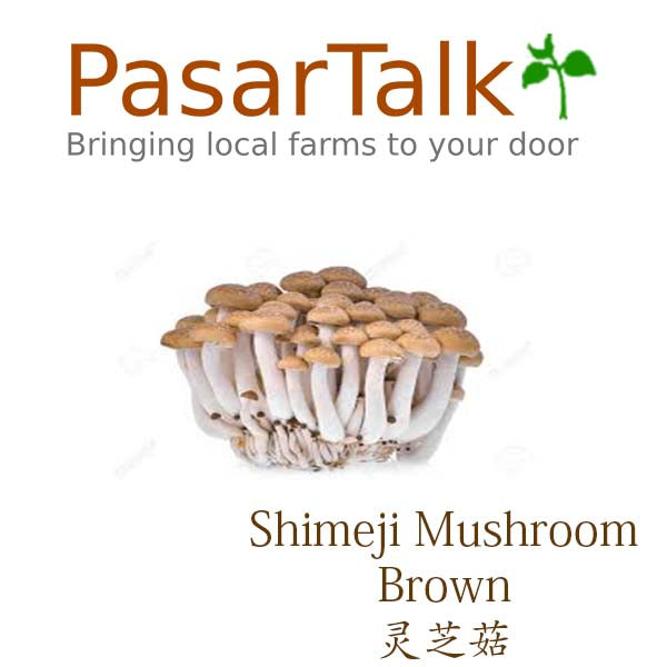 shimeji mushroom