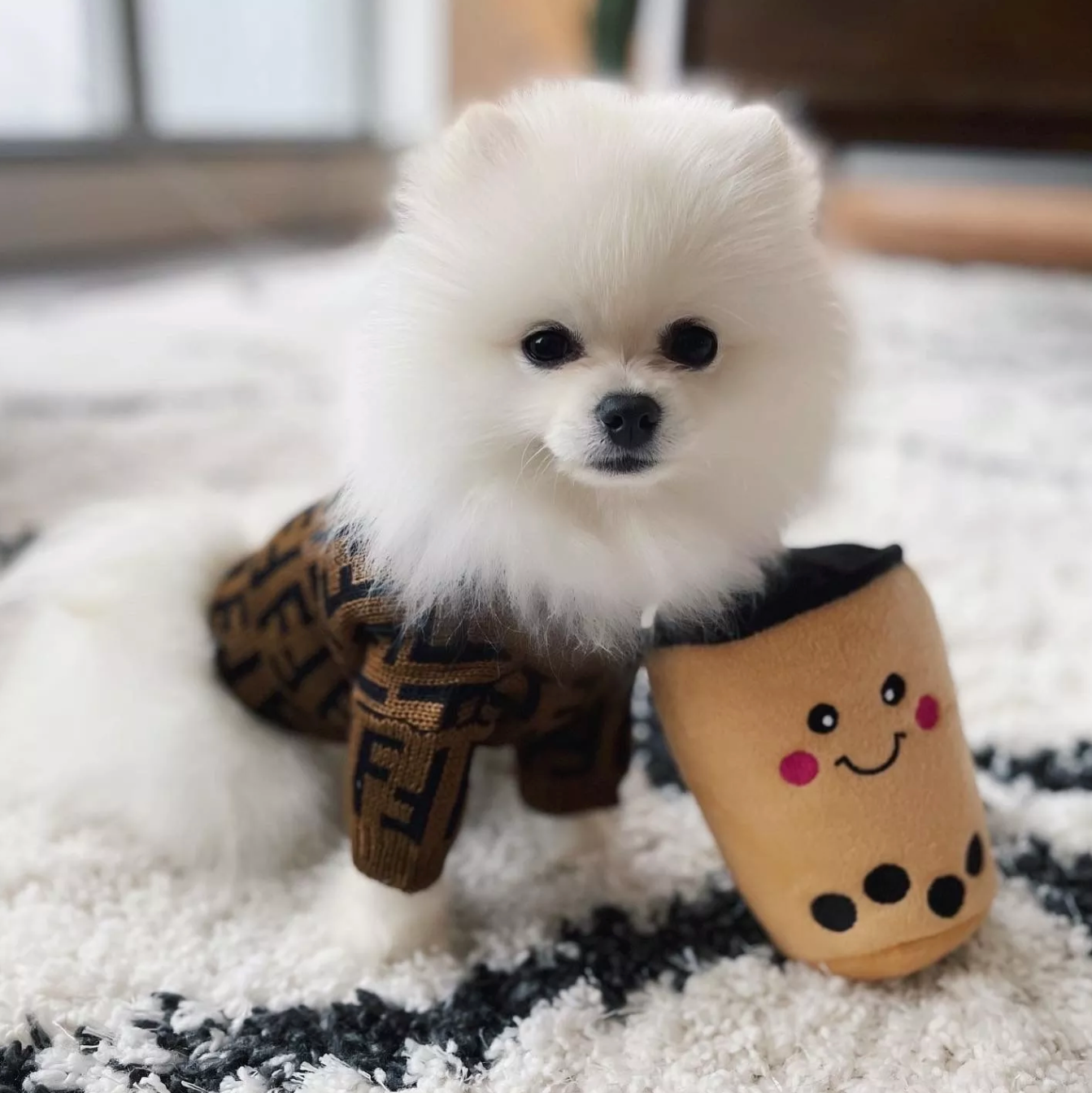 Furdi Best Brown Designer Dog Sweater