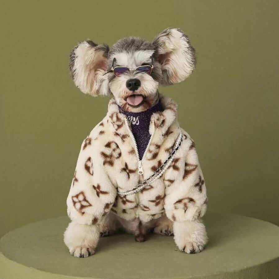 LV Faux Fur Dog Jacket – PomPlanet