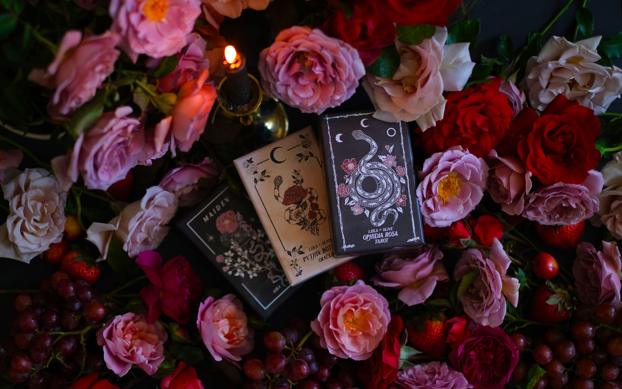 botanical tarot deck, ophidia rosa tarot, pythia botanica, maiden oracle 