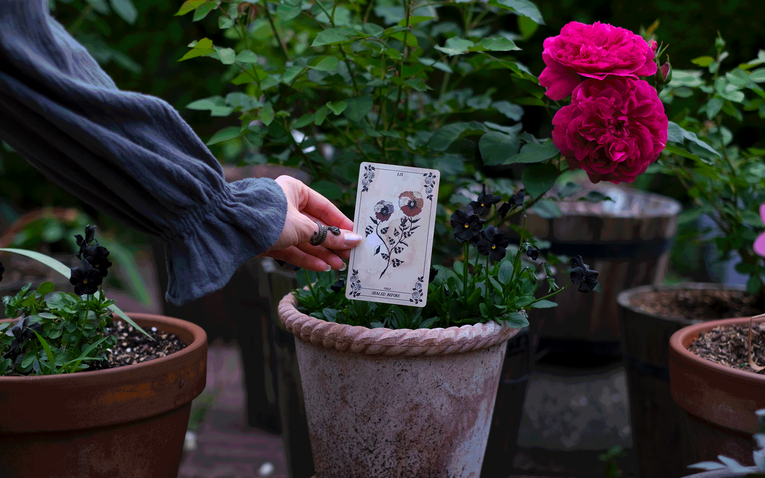 botanical tarot card deck