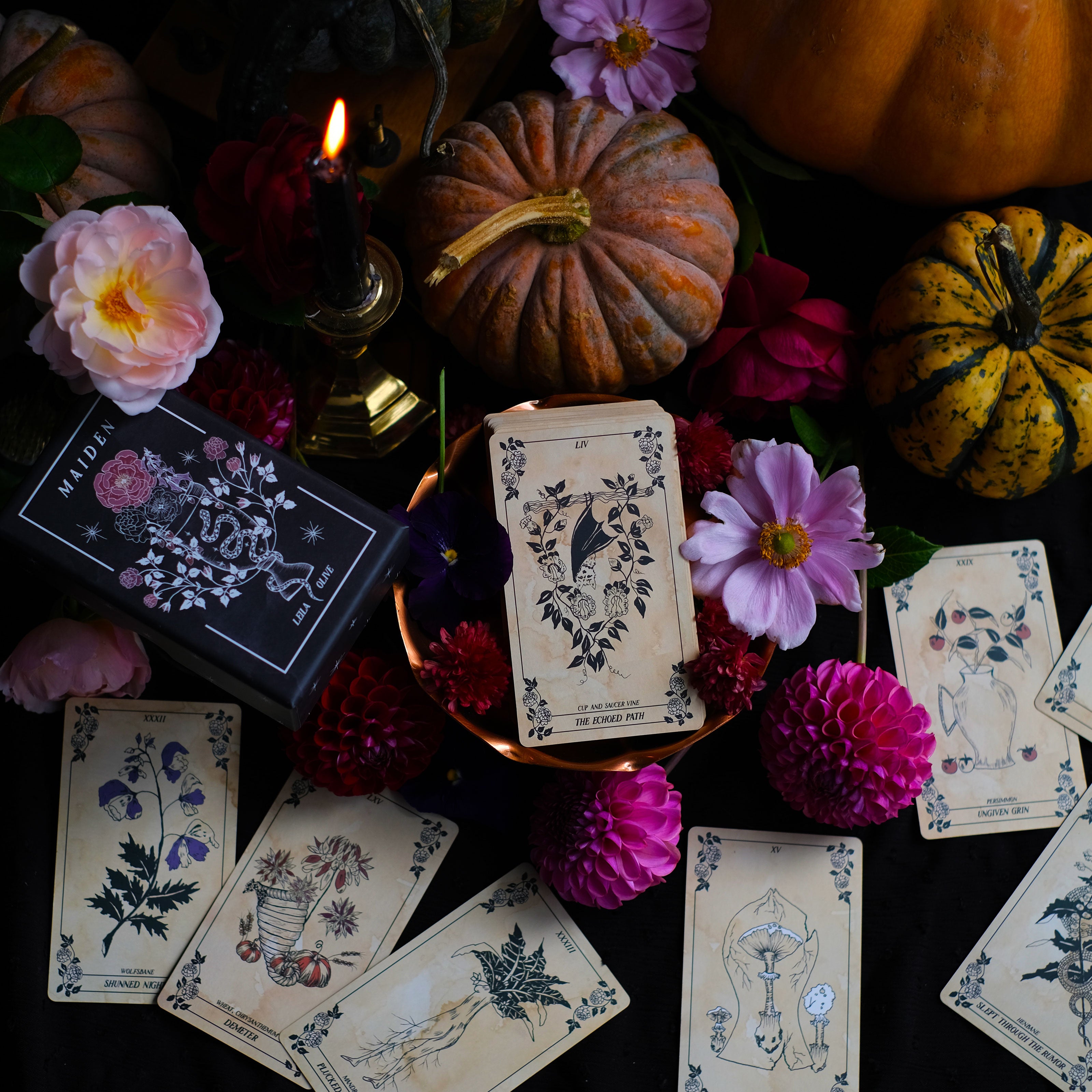 Botanical Tarot deck, the Maiden Oracle, is illustrated by hand and rooted in the natural realm. Through these 78 botanical tarot cards, the major and minor arcana, we weave together traditional Tarot meanings with poetry, mythology, flora and plants.