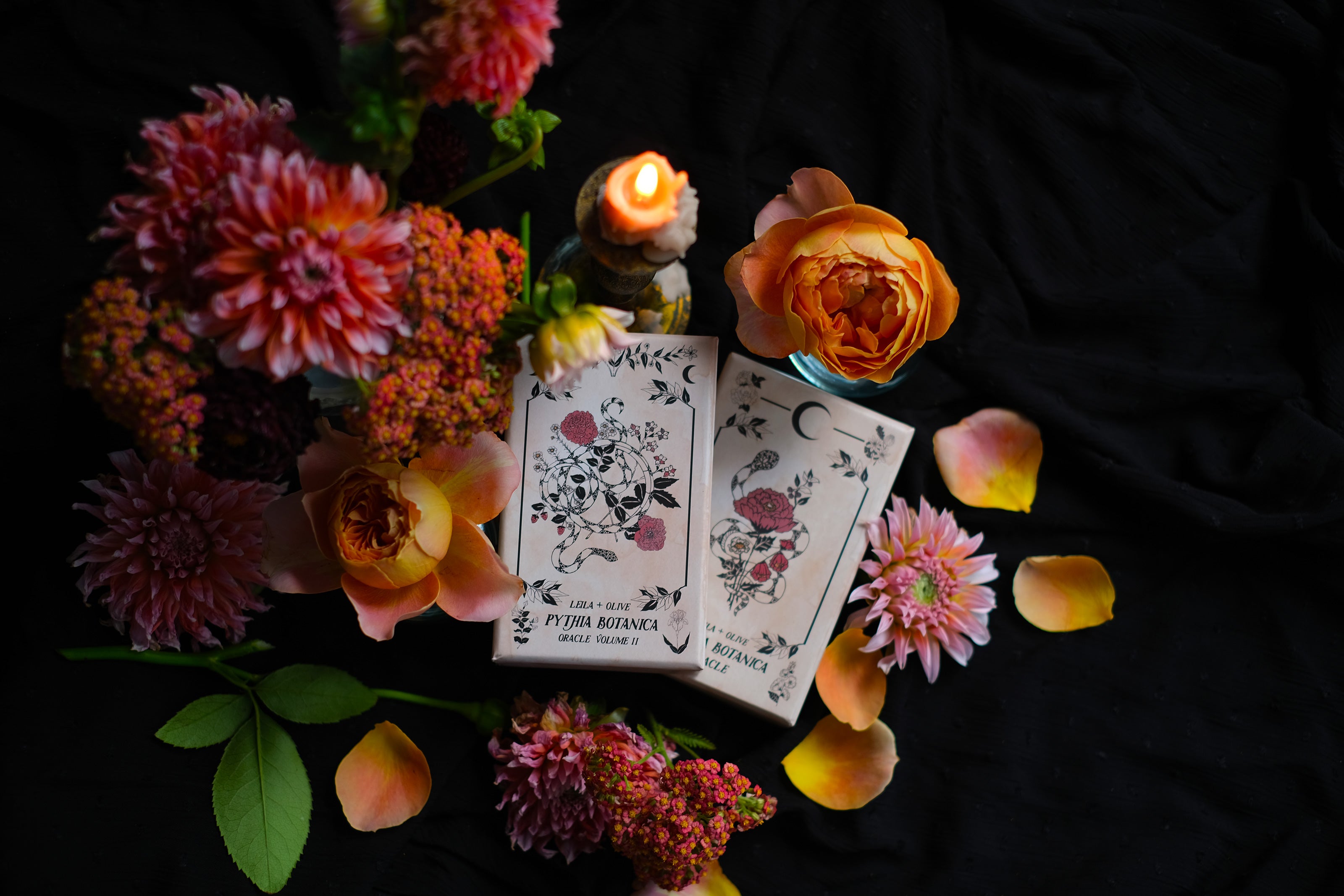 The Botanical Oracle decks. Each of these plant and flora inspired, intuitive tarot card decks delve into the garden and the natural world while remaining rooted in mythology and tradition.