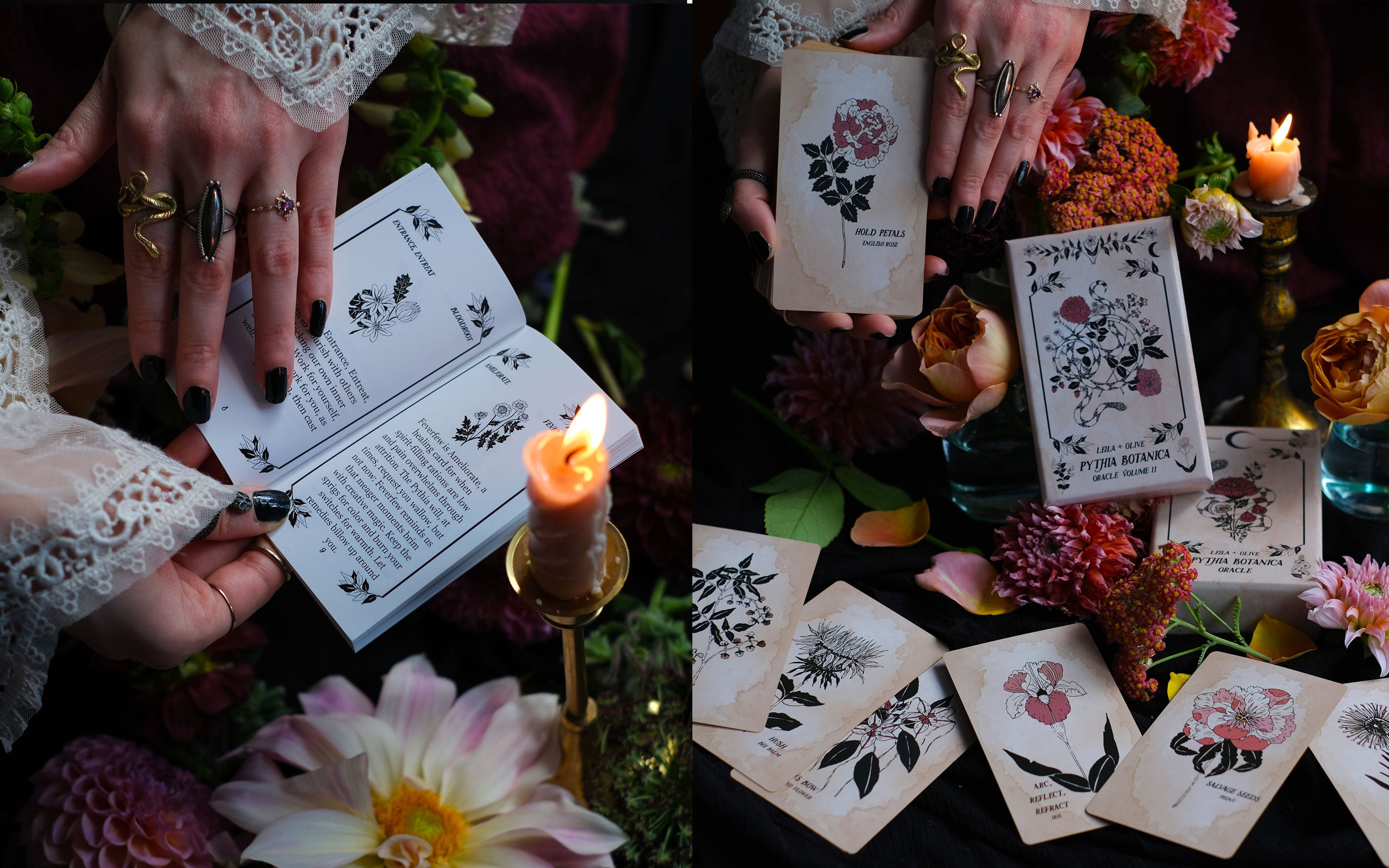The original plant magic Botanical Oracle deck, Pythia Botanica is hand-illustrated, gilded in gold, rooted in mythology.