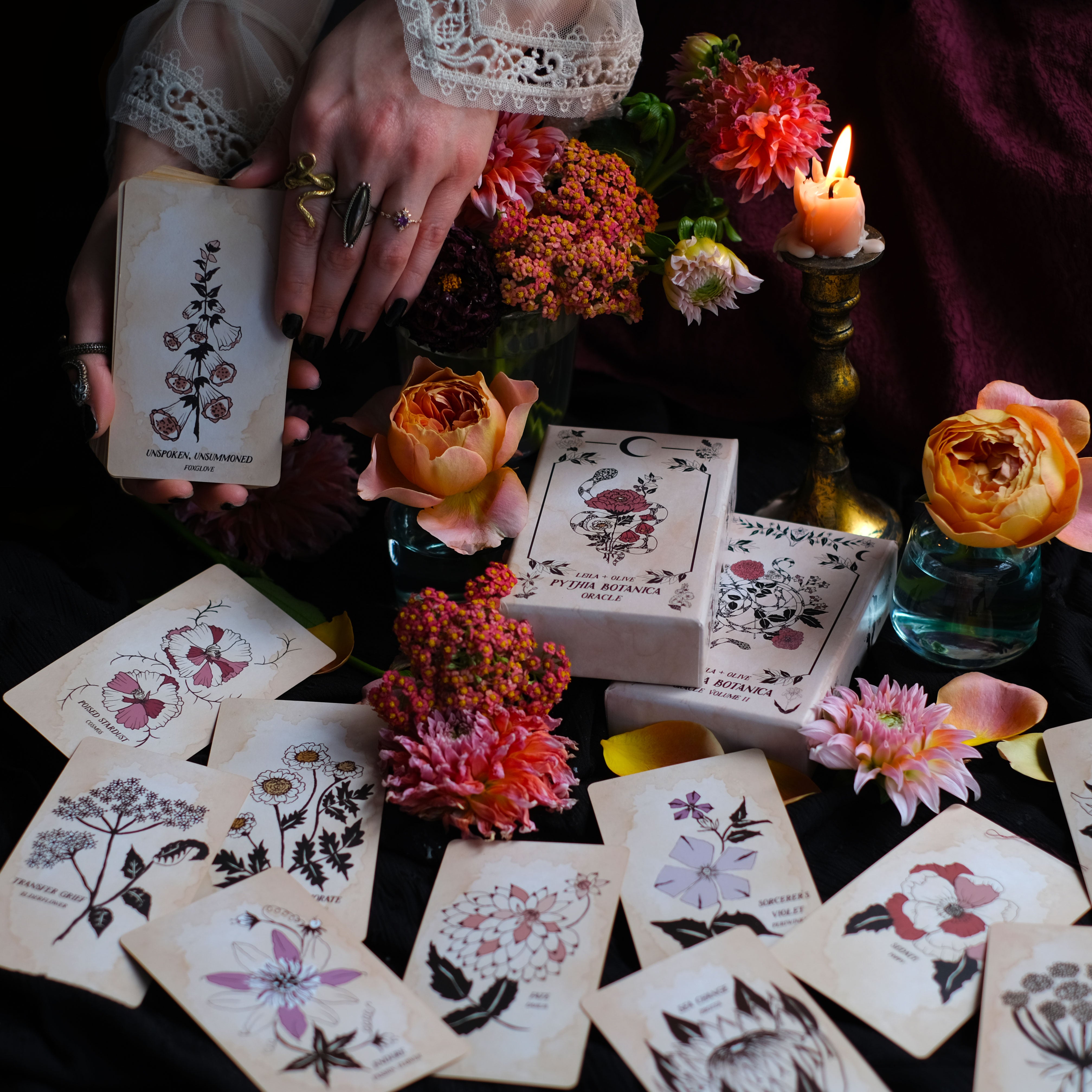 Botanical Tarot deck and Botanical Plant Oracle decks, illustrated by hand and rooted in plant magic. Each of these cards, from the Ophidia Rosa to Pythia Botanica, draw upon the garden journey, plant kingdom, ancient Tarot and poetry.