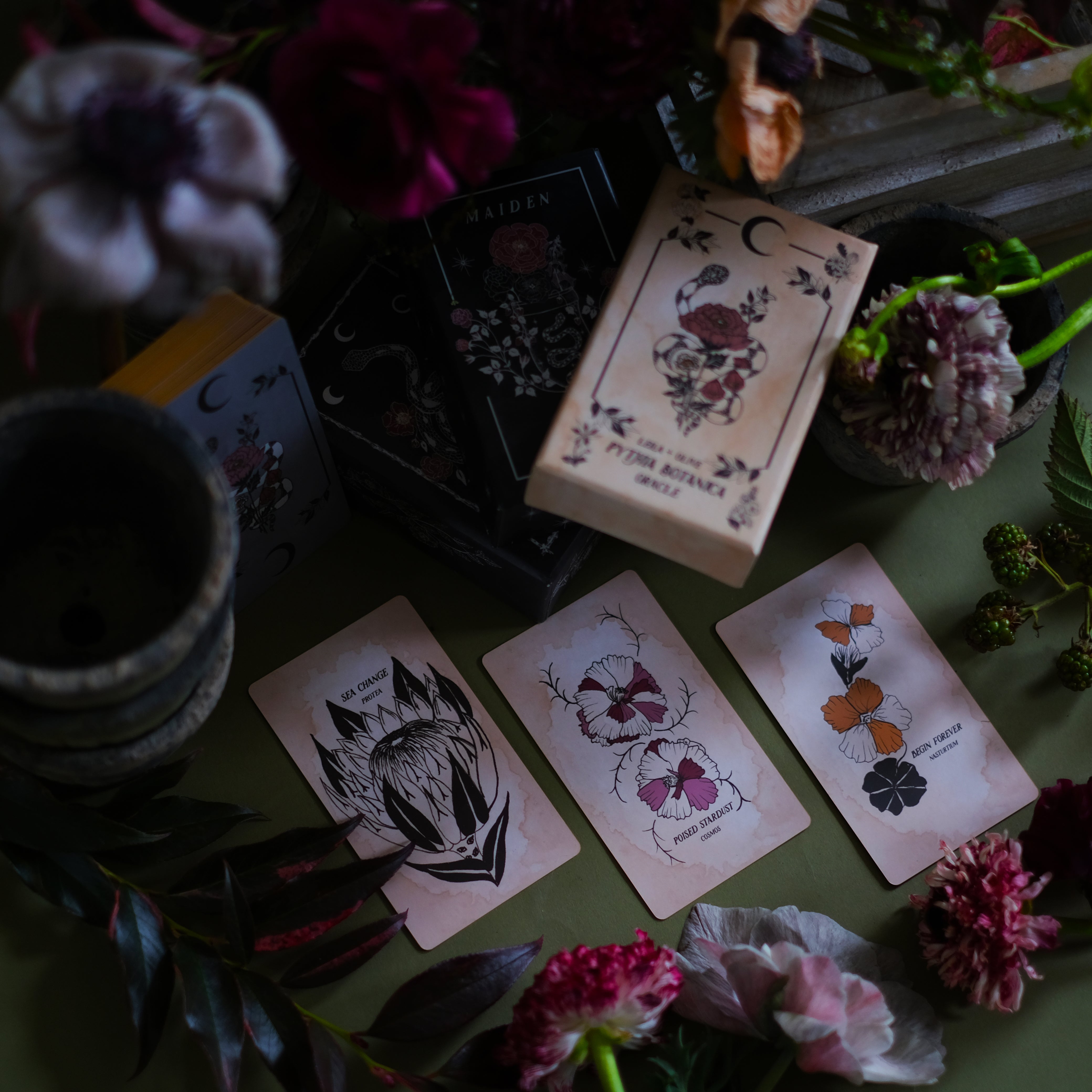 pythia botanica tarot 