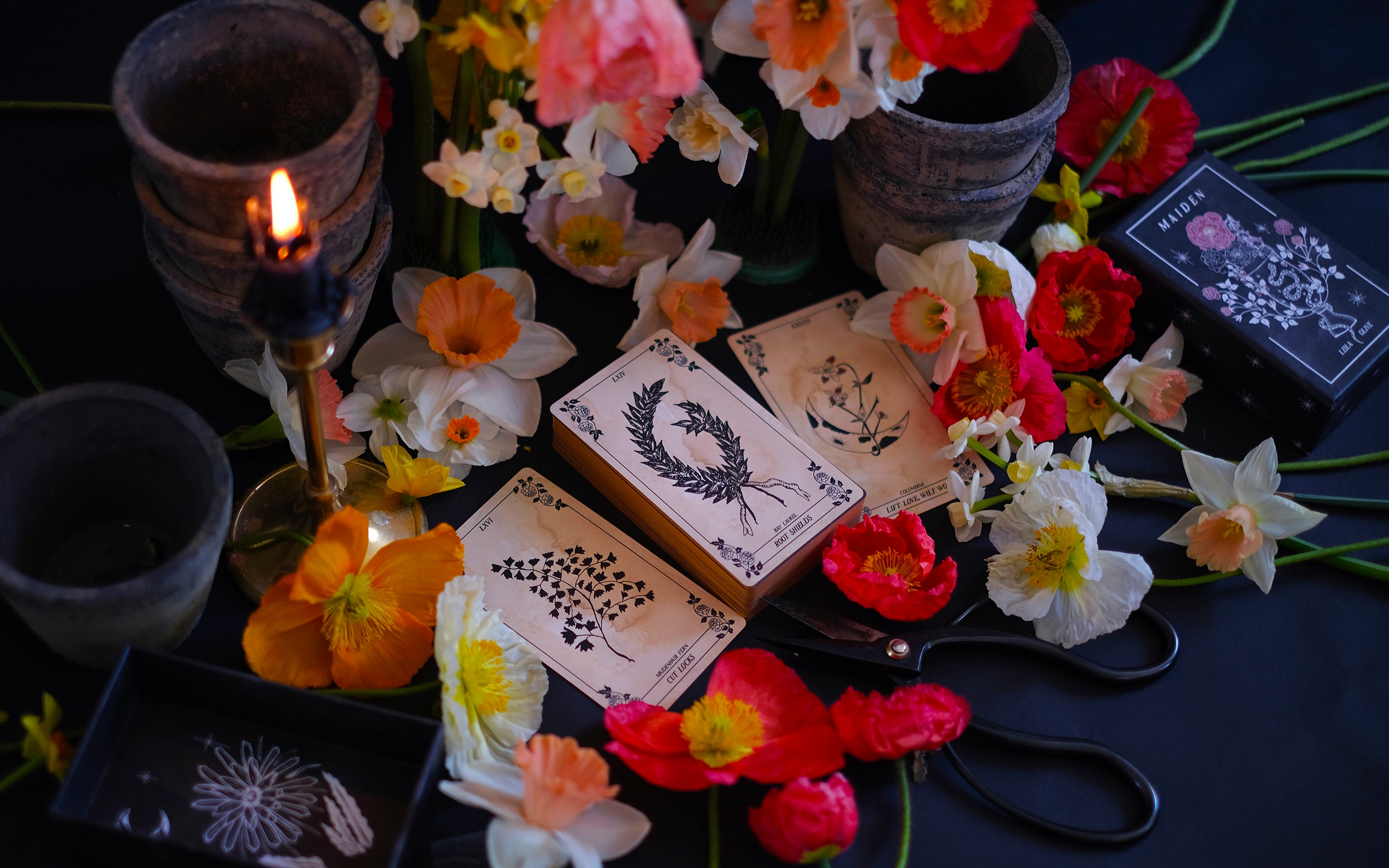 Botanical tarot deck, illustrated by hand and rooted in classical Tarot interpretations drawn closer to home. 