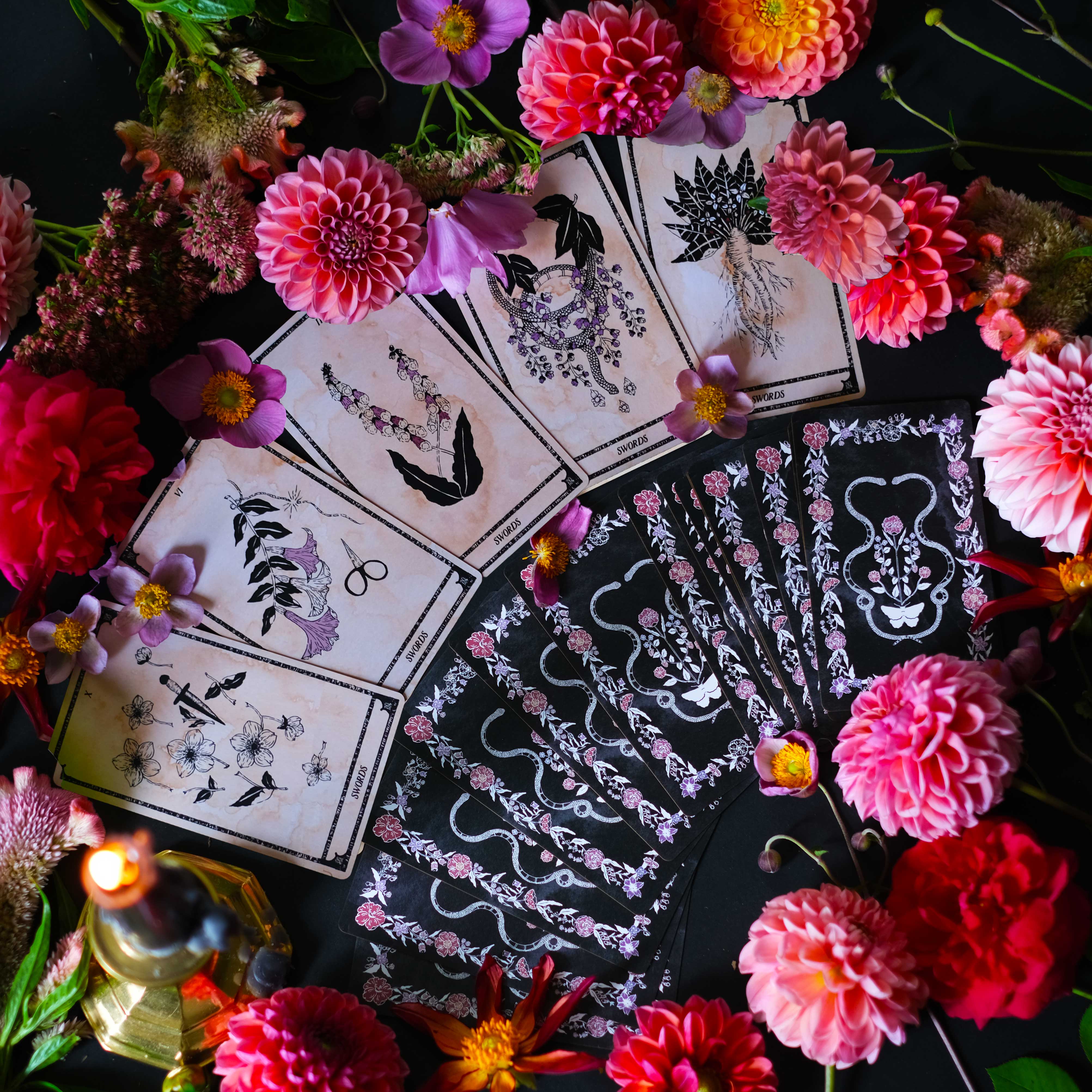 botanical tarot deck