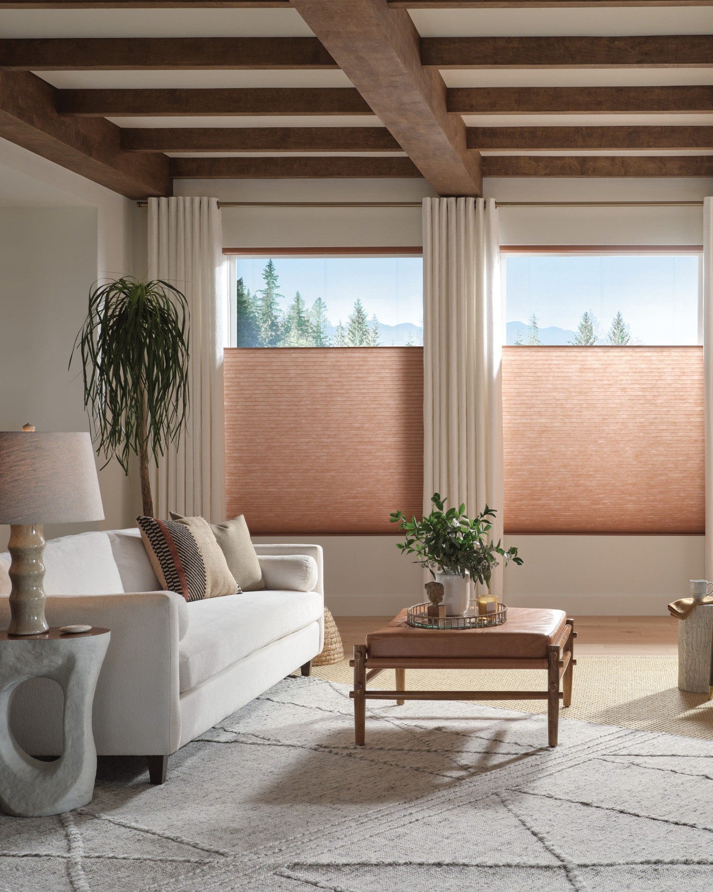 Hunter Douglas Cellular Shades