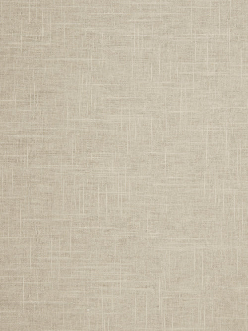 Pacific Linen Dove