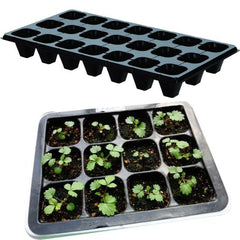seedling tray