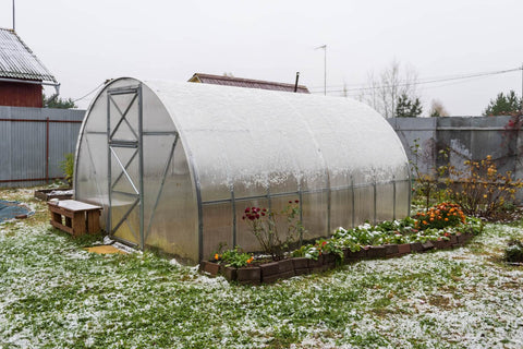 greenhouse