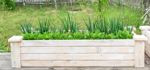 raised garden bed