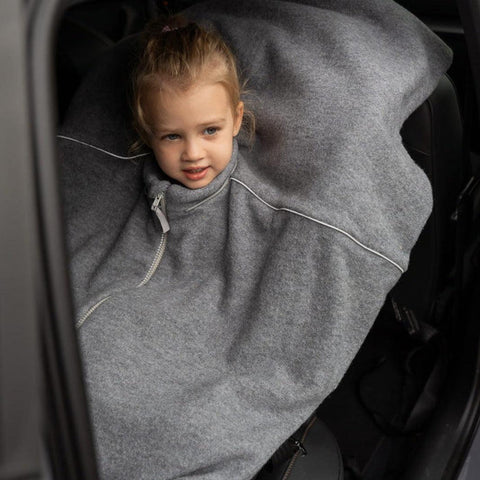 Blattläuse für einen Baby -Autositz