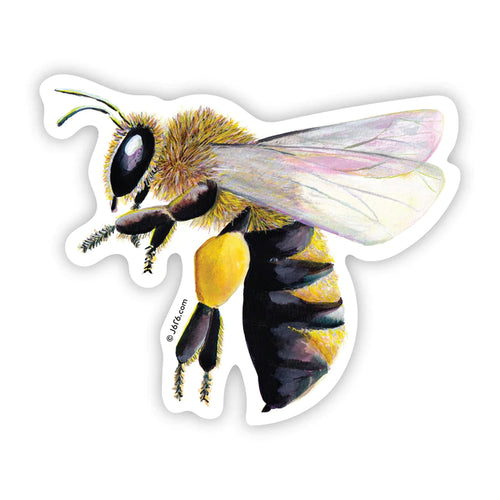 https://cdn.shopify.com/s/files/1/0268/5822/5726/products/J6R6-Sticker-Insect-Bee_720x_1bc4f691-351c-4994-b2eb-162cdd1b27a9_250x250@2x.webp?v=1677789252
