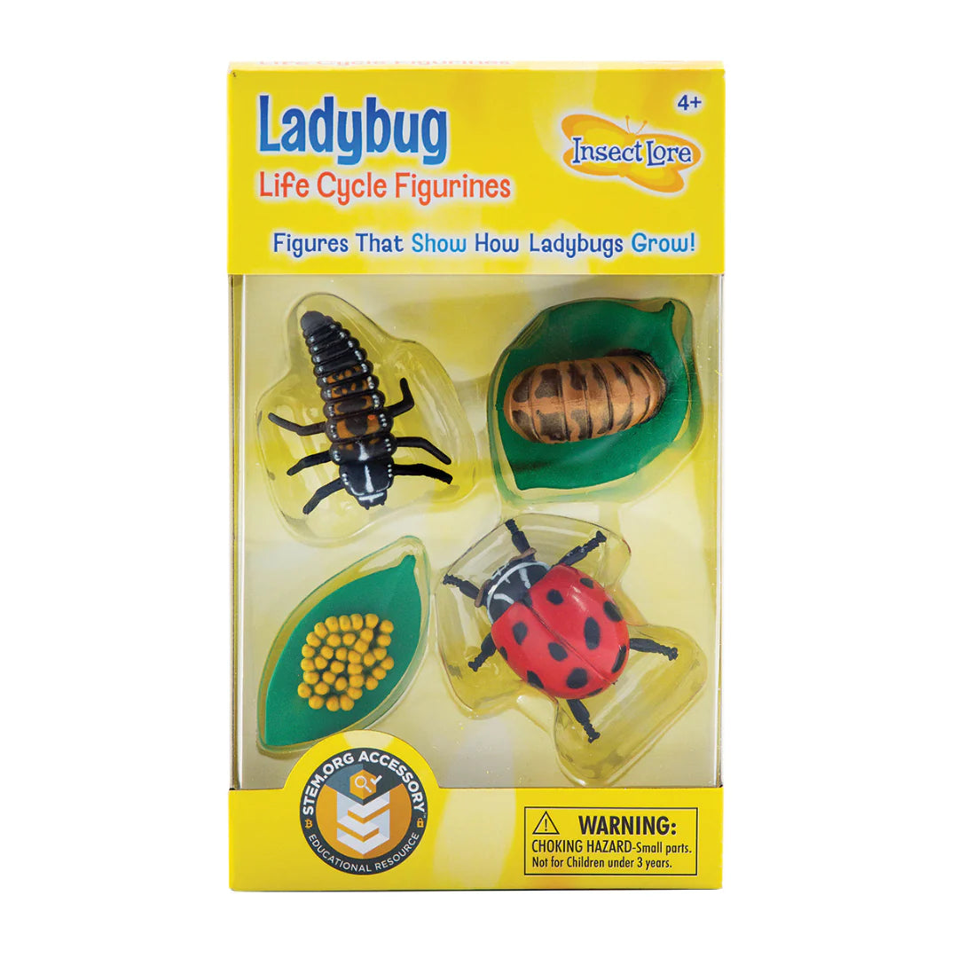 Lifecycle of a Ladybug Playset Figurines – Butterfly Pavilion